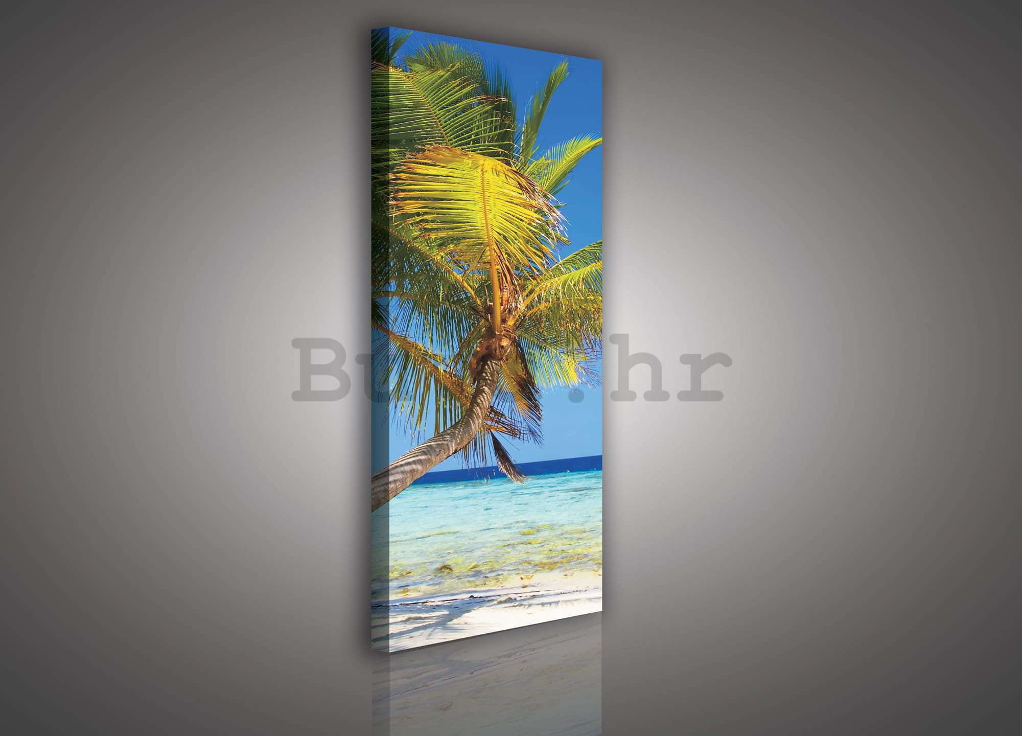 Slika na platnu: Plaža sa palmom - 45x145 cm
