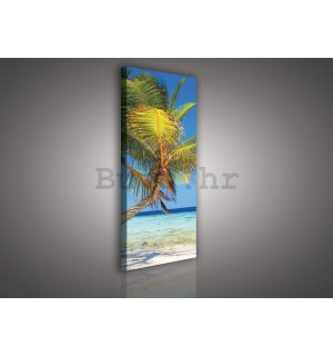 Slika na platnu: Plaža sa palmom - 45x145 cm