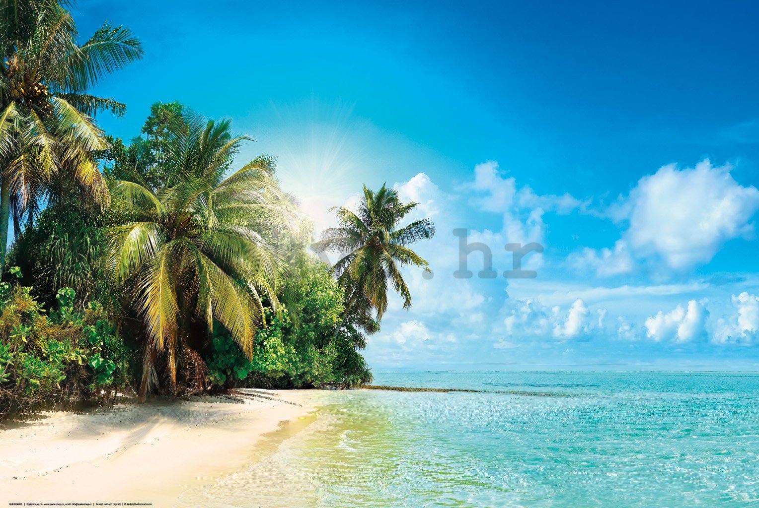 Poster: Sunčana tropska plaža