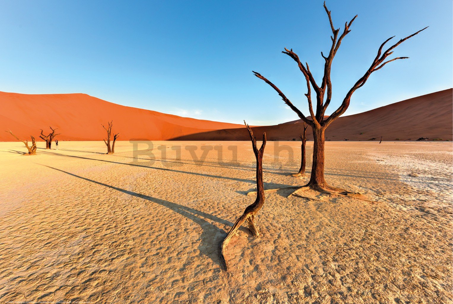 Poster: Suha pustinja Namib
