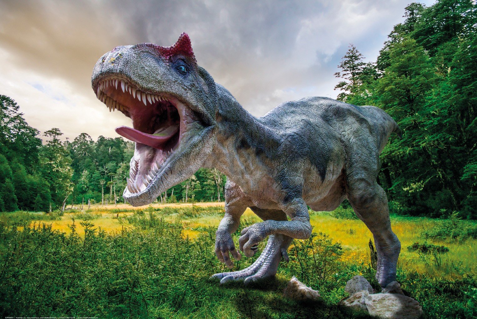 Poster: Ljuti tiranosaurus