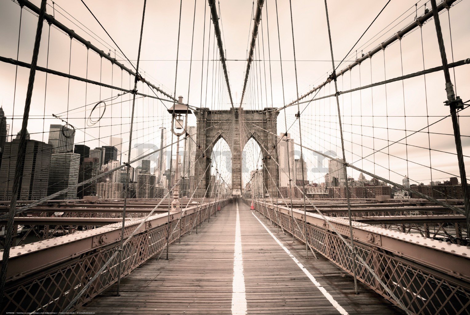 Poster: Putovanje Brooklynskim mostom