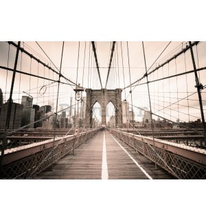 Poster: Putovanje Brooklynskim mostom