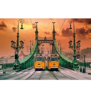 Poster: Tramvaji na Mostu slobode, Budimpešta