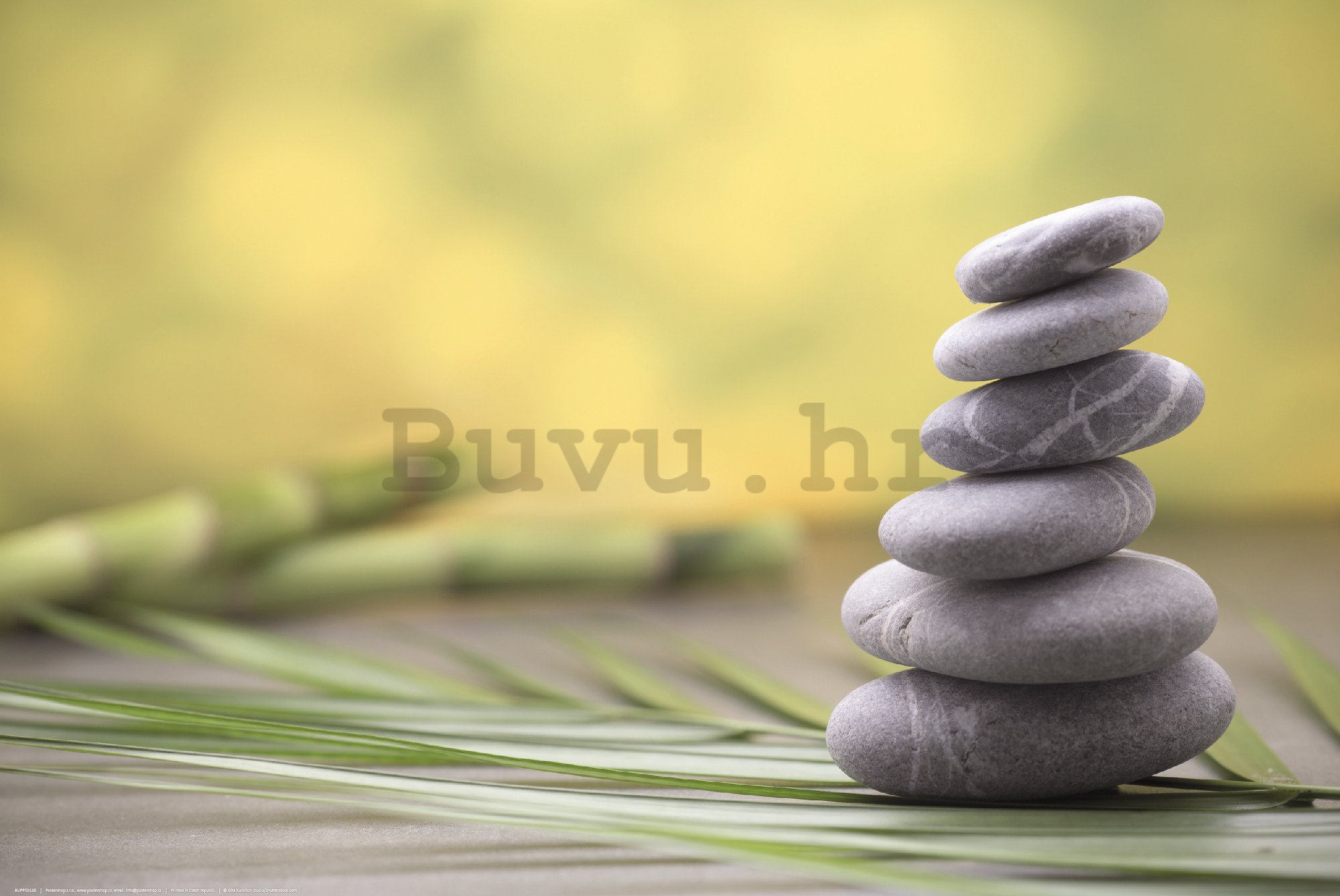 Poster: Zen kamenje i bambus