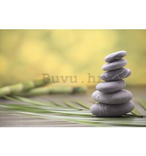 Poster: Zen kamenje i bambus