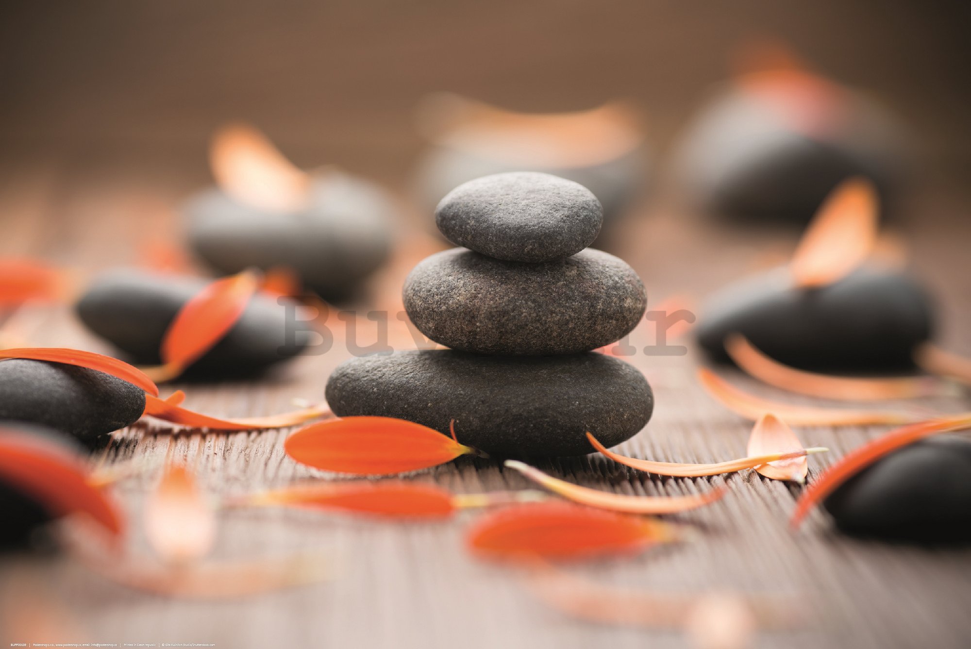 Poster: Zen kamenje i lišće gerbera