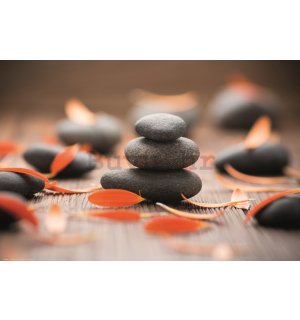 Poster: Zen kamenje i lišće gerbera