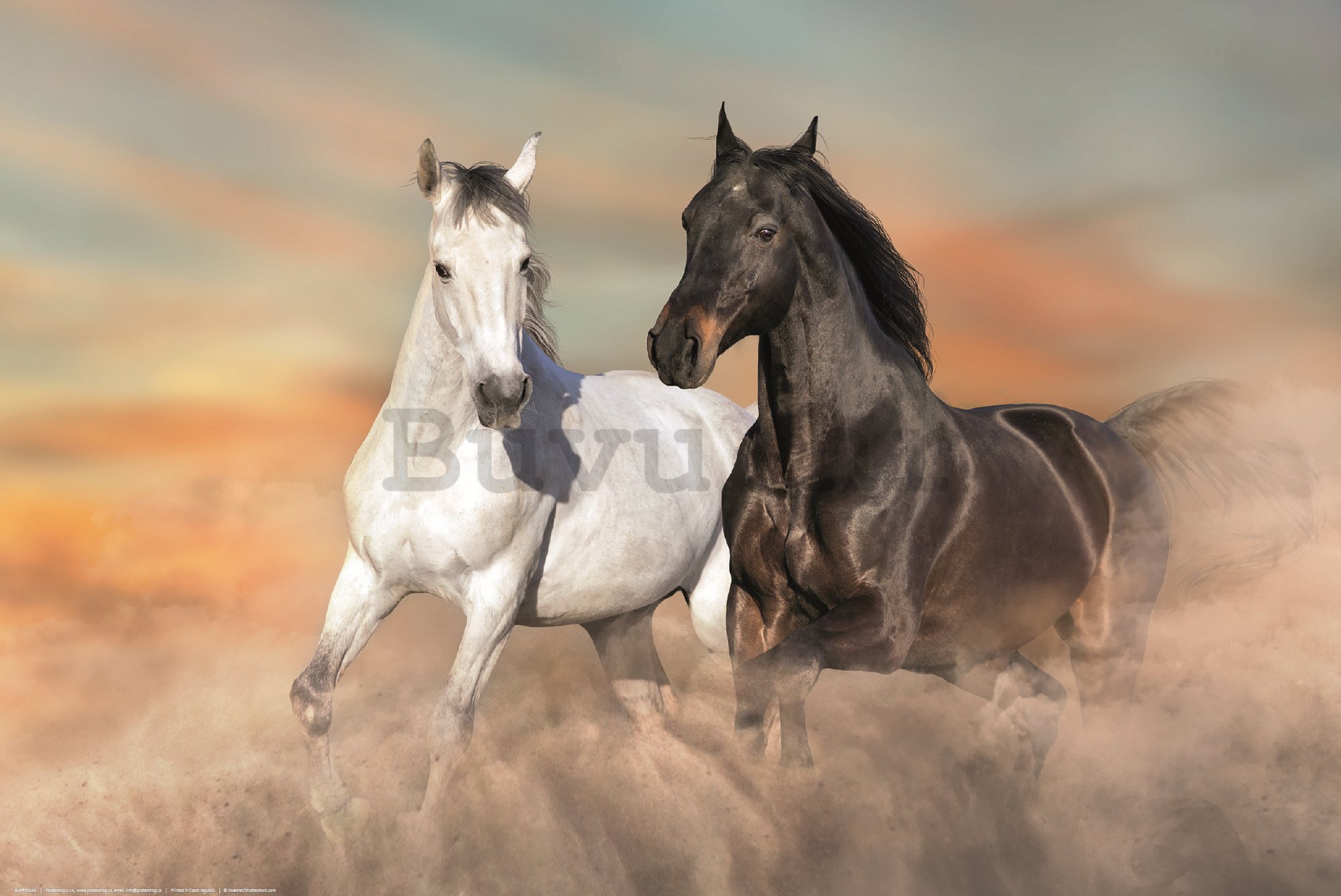 Poster: Konji u galopu u pijesku