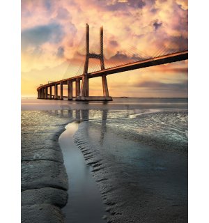 Foto tapeta: Most od užadi (2) - 184x254 cm