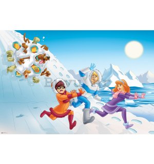 Foto tapeta: Scooby-Doo (gruda snijega) - 368x254 cm