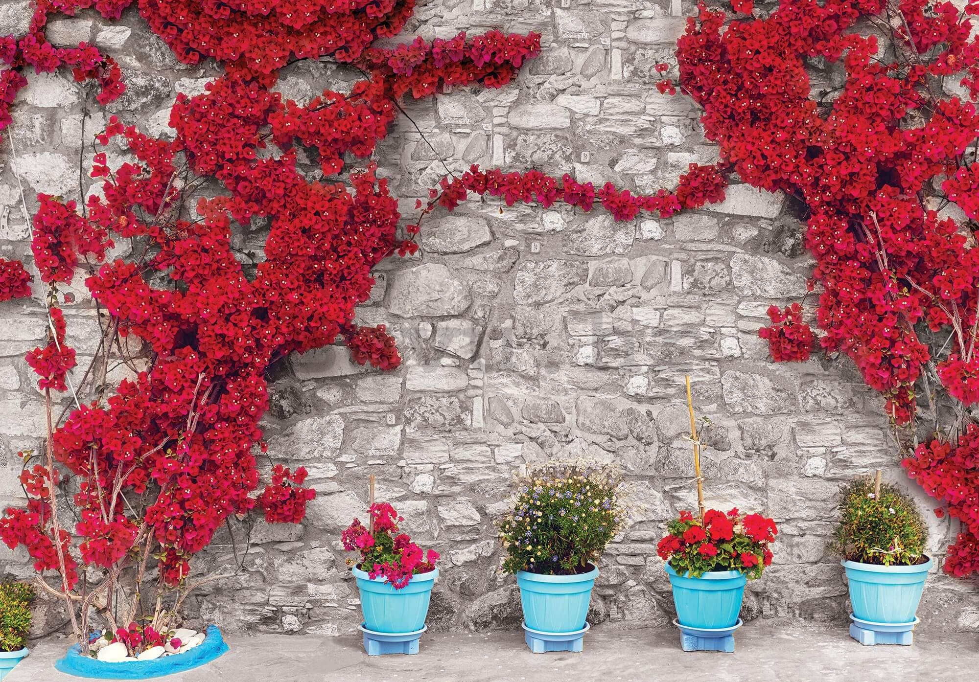 Vlies foto tapeta: Crveni cvjetni zid (1) - 416x254 cm