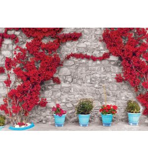 Vlies foto tapeta: Crveni cvjetni zid (1) - 416x254 cm