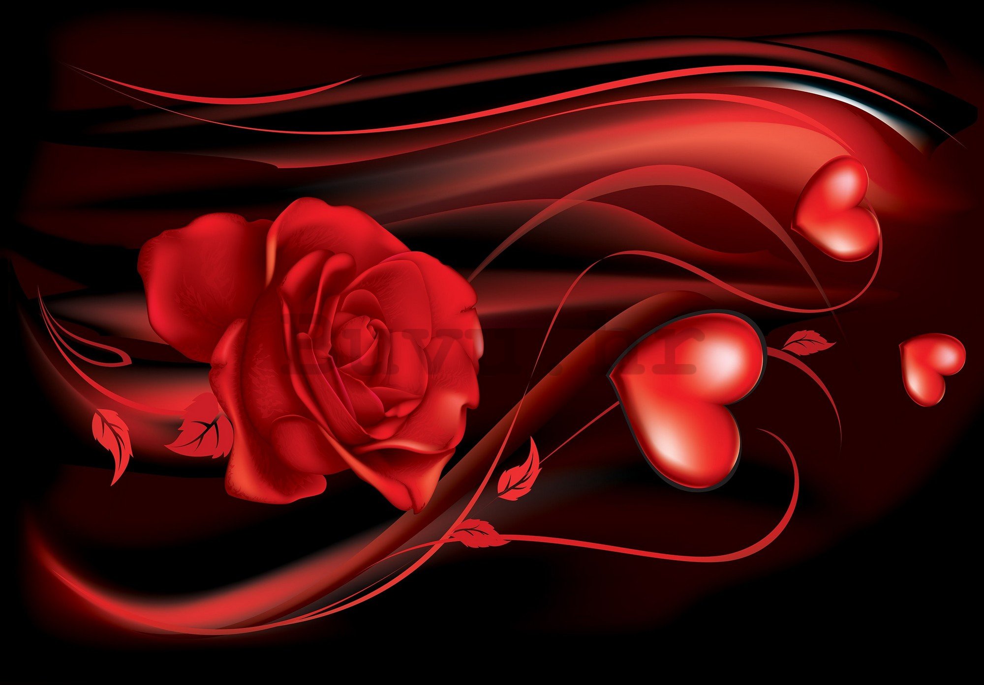 Foto tapeta: Crveno srce i ruža - 254x184 cm