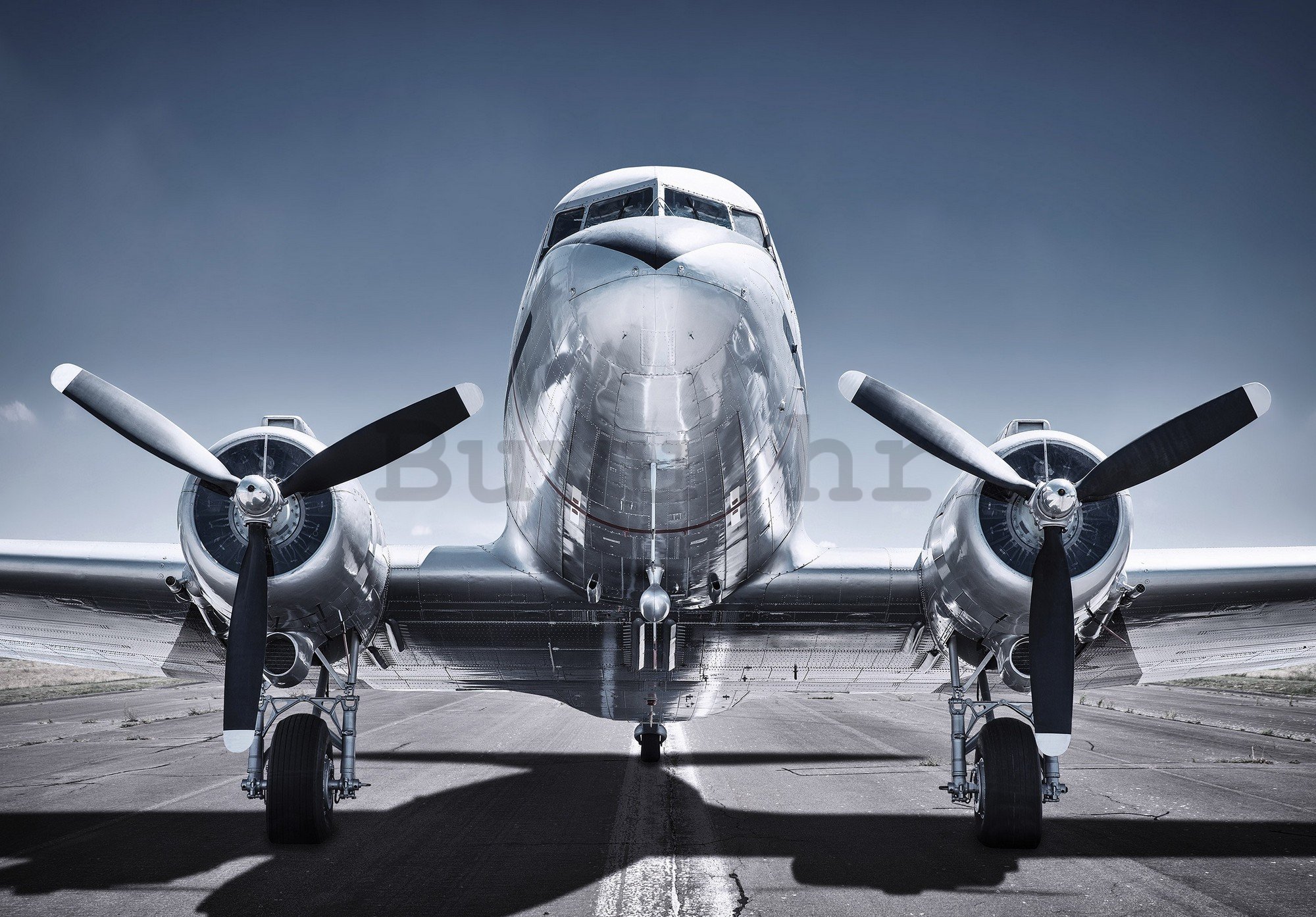 Foto tapeta: Povijesni zrakoplov - 368x254cm