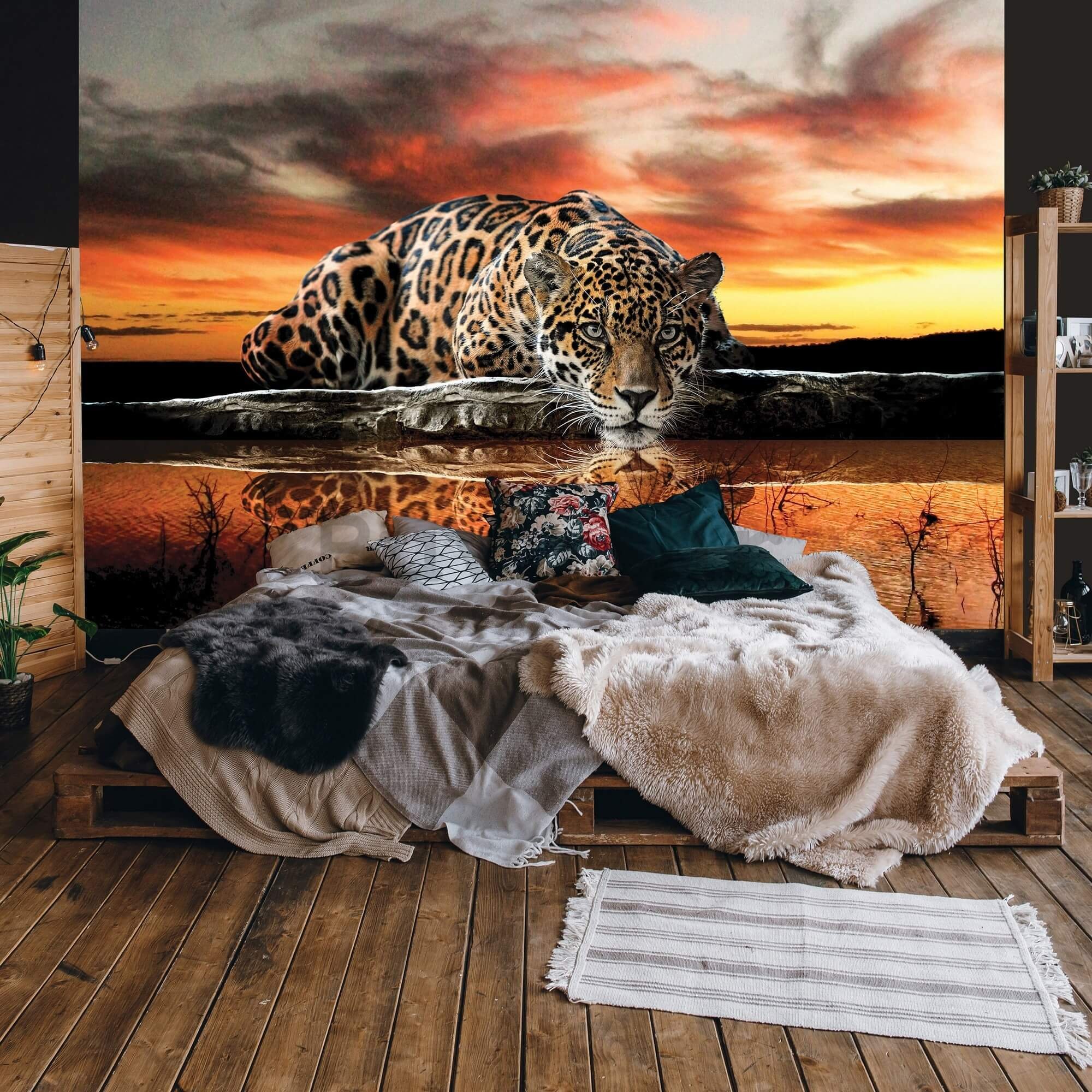 Vlies foto tapeta: Jaguar (1) - 416x254 cm