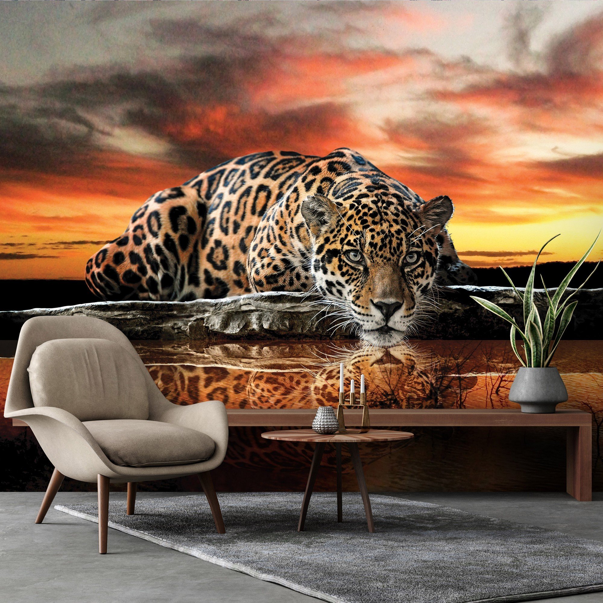 Vlies foto tapeta: Jaguar (1) - 416x254 cm