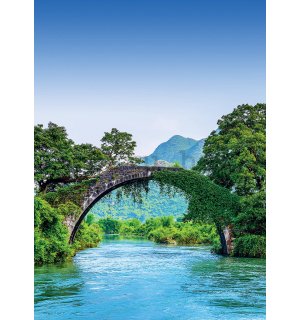Foto tapeta: Most i rijeka - 184x254 cm