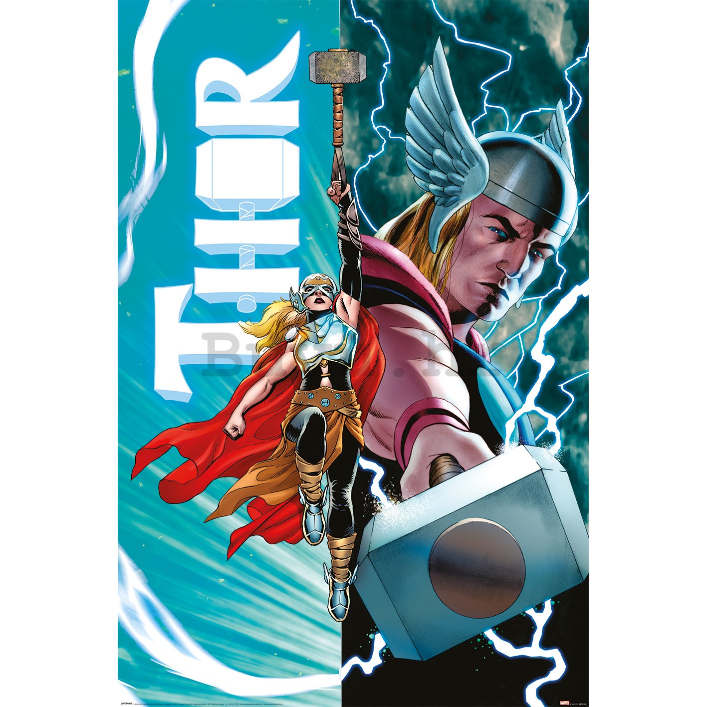 Plakát - Thor (Thor Vs Female Thor)
