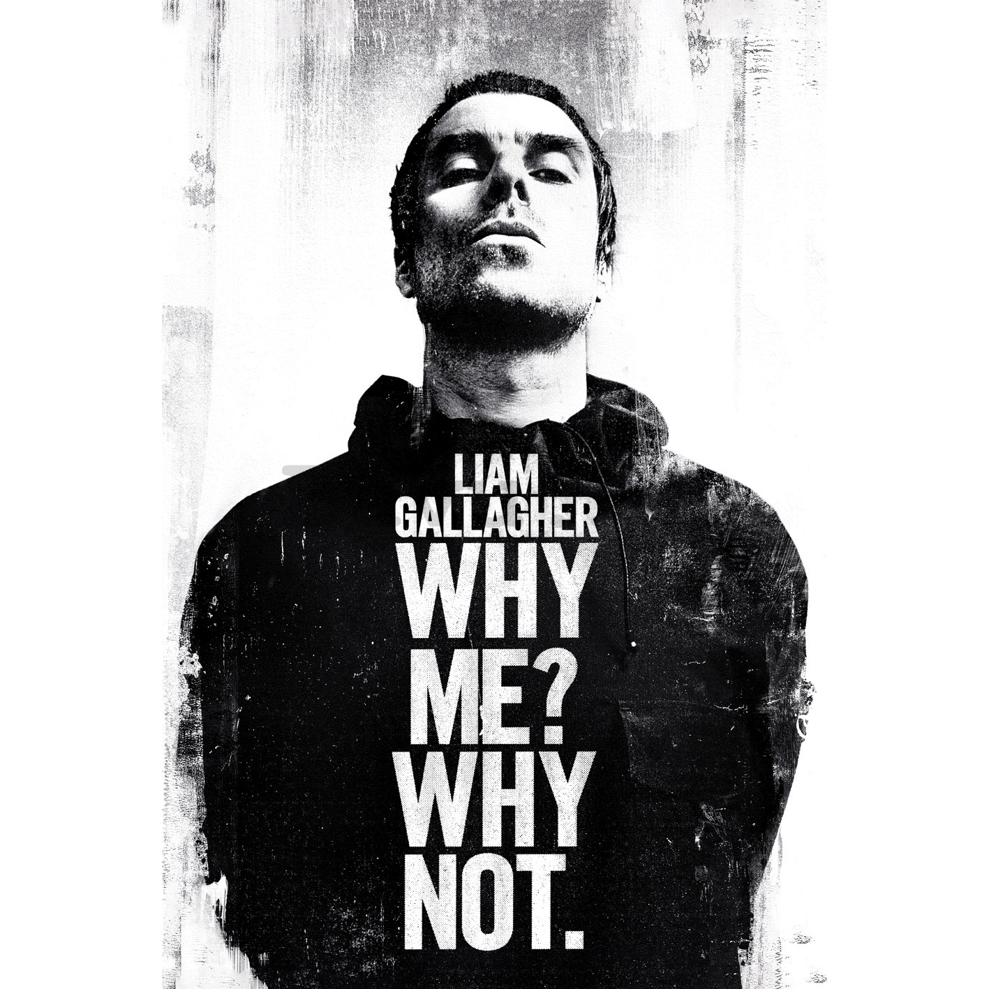 Plakát - Liam Gallagher (Why me why not)