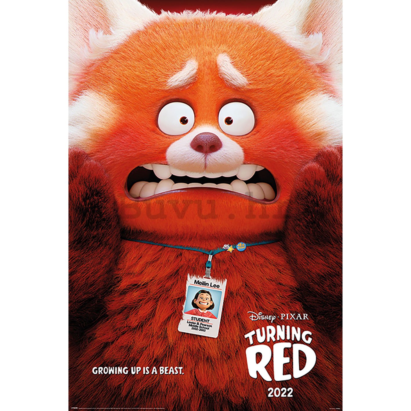 Plakát - Turning Red (Red Panda Mei)