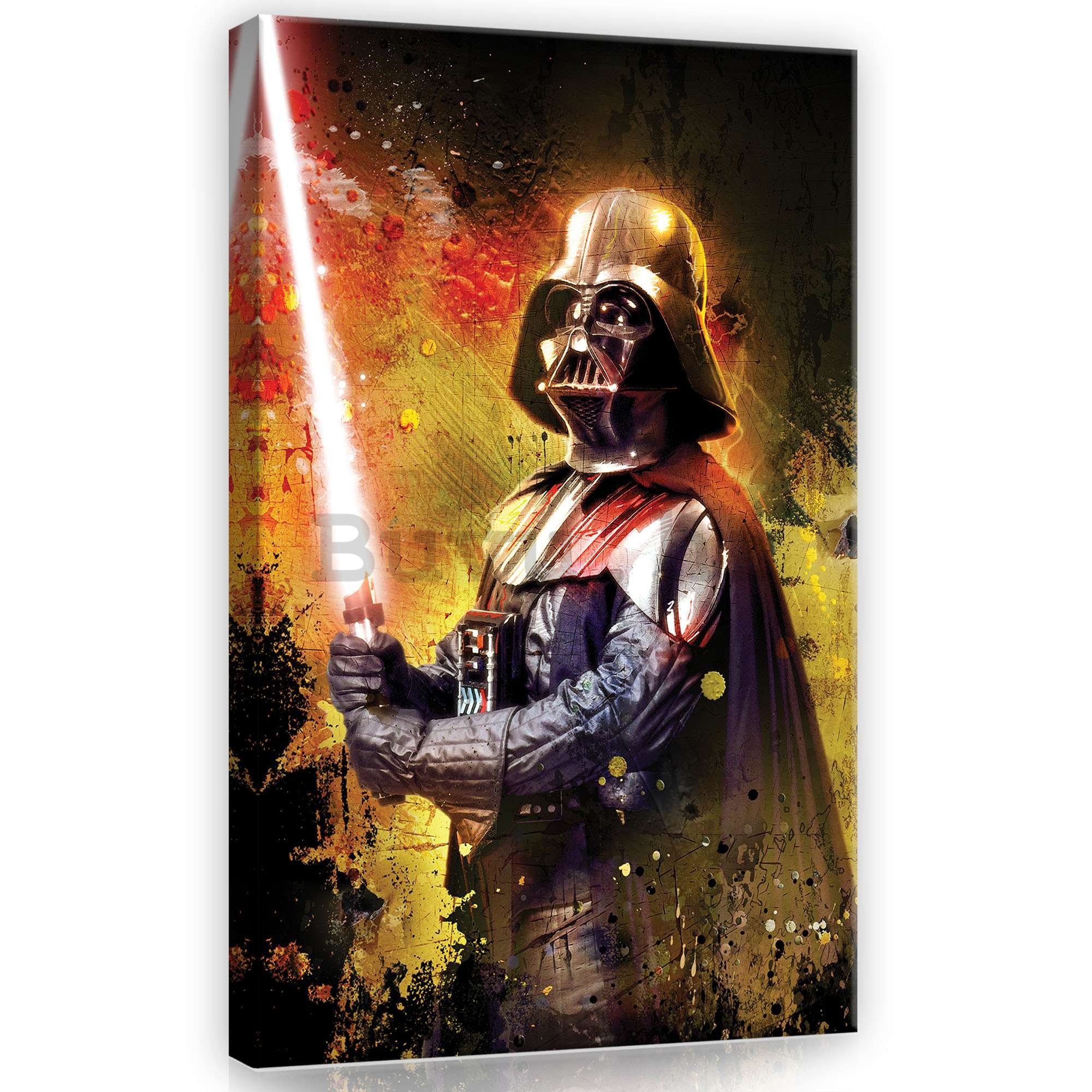 Slika na platnu: Darth Vader - 40x60 cm
