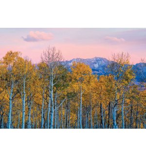 Vlies foto tapeta: Jesenske breze i planine - 368x254 cm