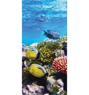 Vlies foto tapeta: Koraljni grebeni - 100x211 cm