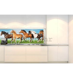 Samoljepljiva periva tapeta za kuhinju - Konji, 180x60 cm