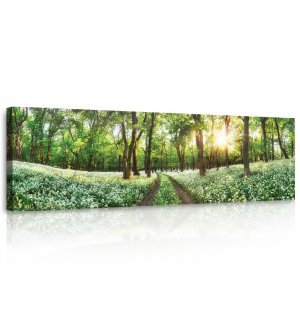 Slika na platnu: Cvjetni šumski put - 145x45 cm