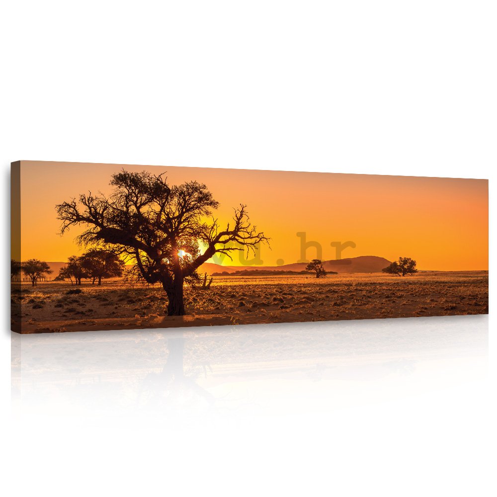 Slika na platnu: Savana (Acacia erioloba) - 145x45 cm
