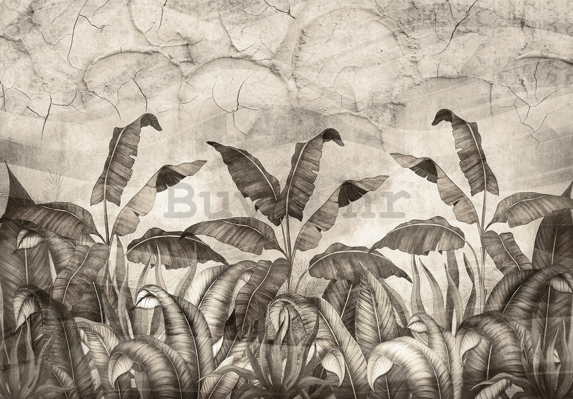 Foto tapeta Vlies: Crno bijela imitacija prirodnog lišća - 254x184 cm