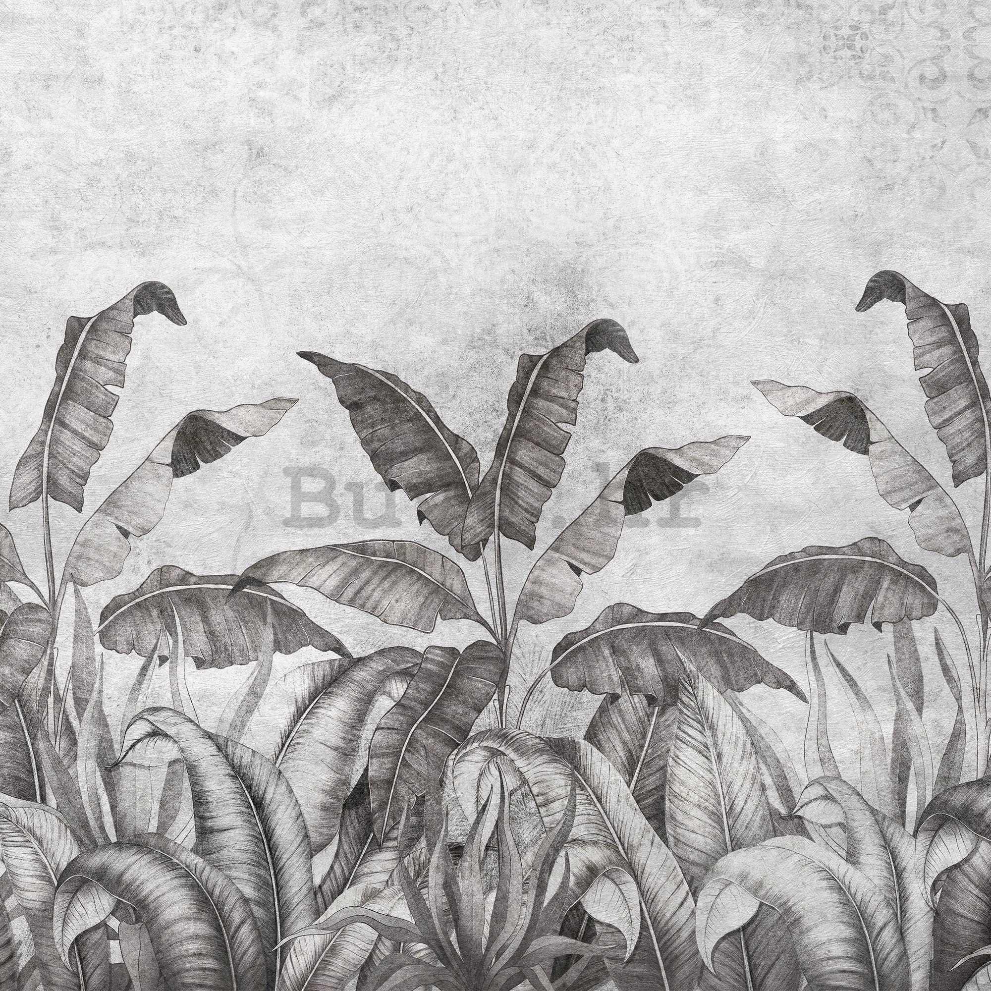 Foto tapeta Vlies: Crno bijela imitacija prirodnog lišća (2) - 254x184 cm