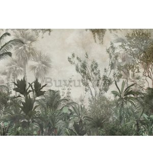 Vlies foto tapeta: Šumska džungla zelena - 368x254 cm