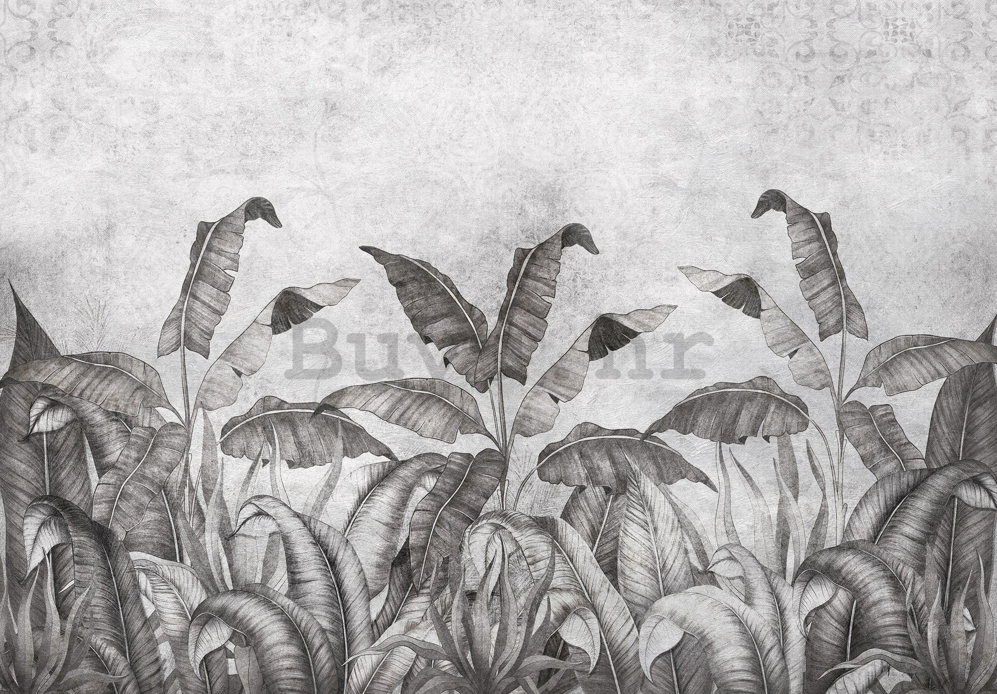 Vlies foto tapeta: Crno bijela imitacija prirodnog lišća (2) - 368x254 cm
