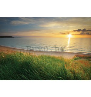Vlies foto tapeta: Plaža u zalasku sunca - 368x254 cm