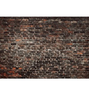 Vlies foto tapeta: Imitacija zida od opeke - 368x254 cm