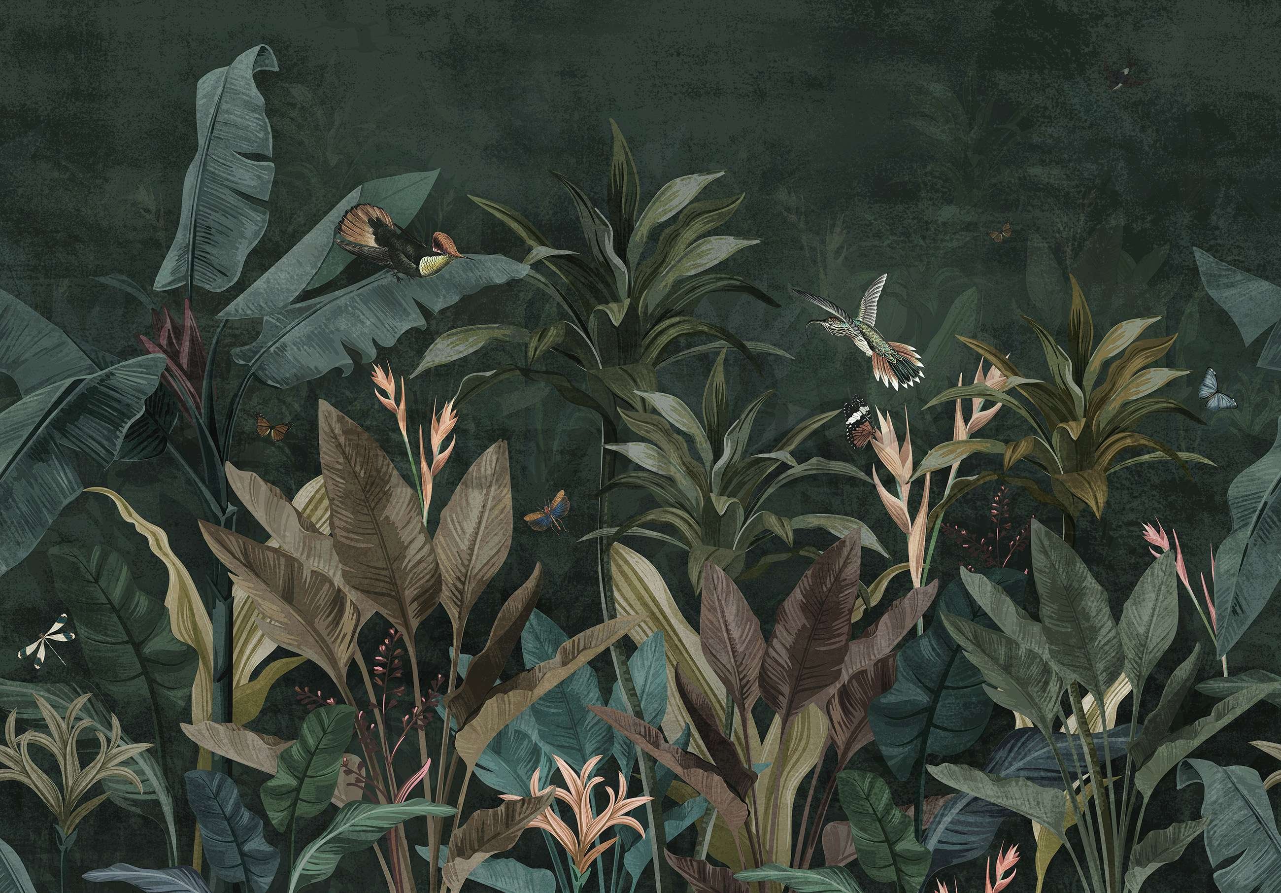 Foto tapeta Vlies: Životinje iz džungle (ptice i leptiri) - 254x184 cm