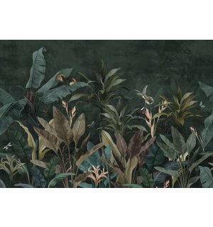 Foto tapeta Vlies: Životinje iz džungle (ptice i leptiri) - 254x184 cm