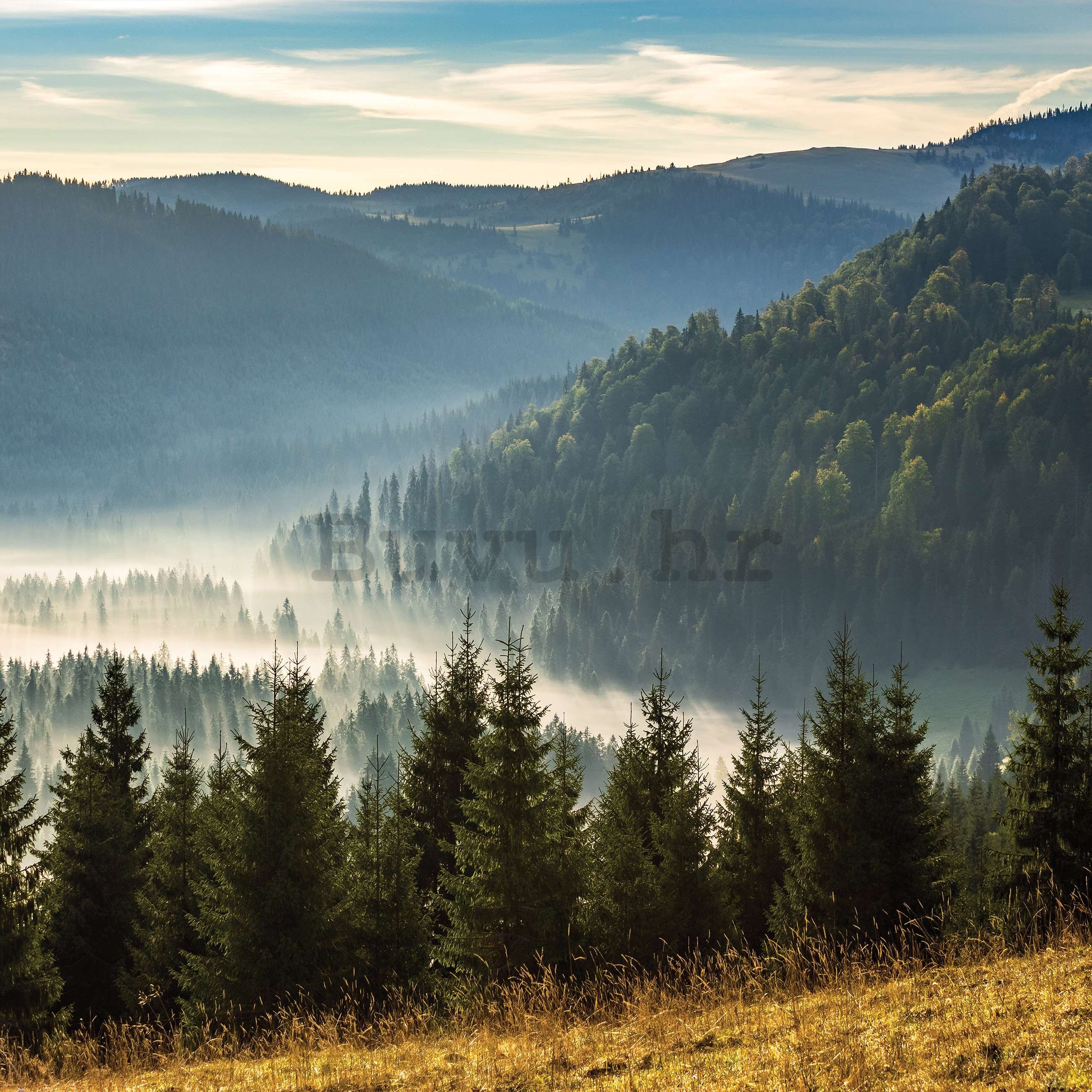 Vlies foto tapeta: Šuma priroda planinski krajolik - 368x254 cm