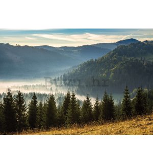 Vlies foto tapeta: Šuma priroda planinski krajolik - 368x254 cm