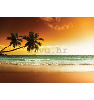 Vlies foto tapeta: Palme i plaža u zalasku sunca - 368x254 cm