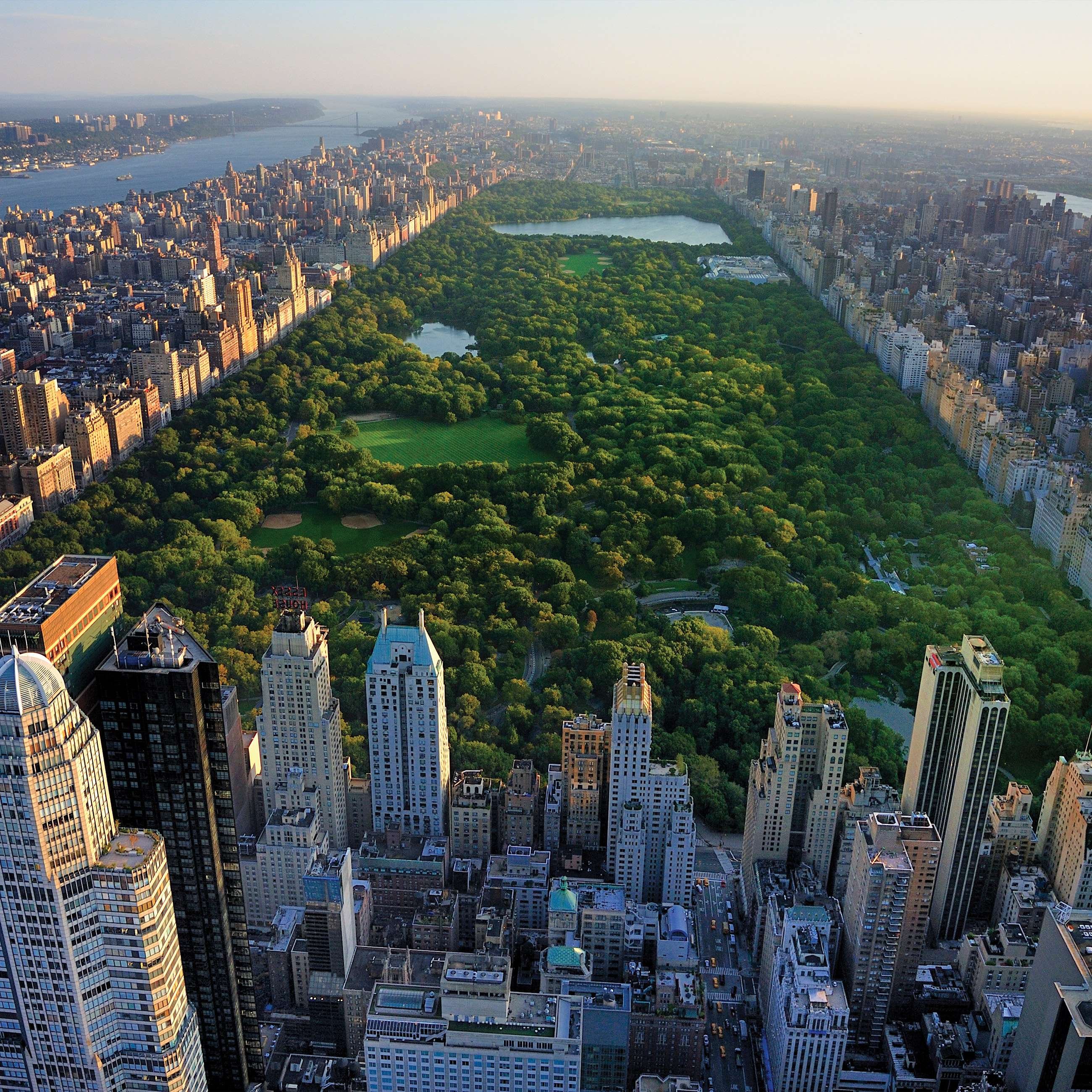 Vlies foto tapeta: New York Central Park - 368x254 cm