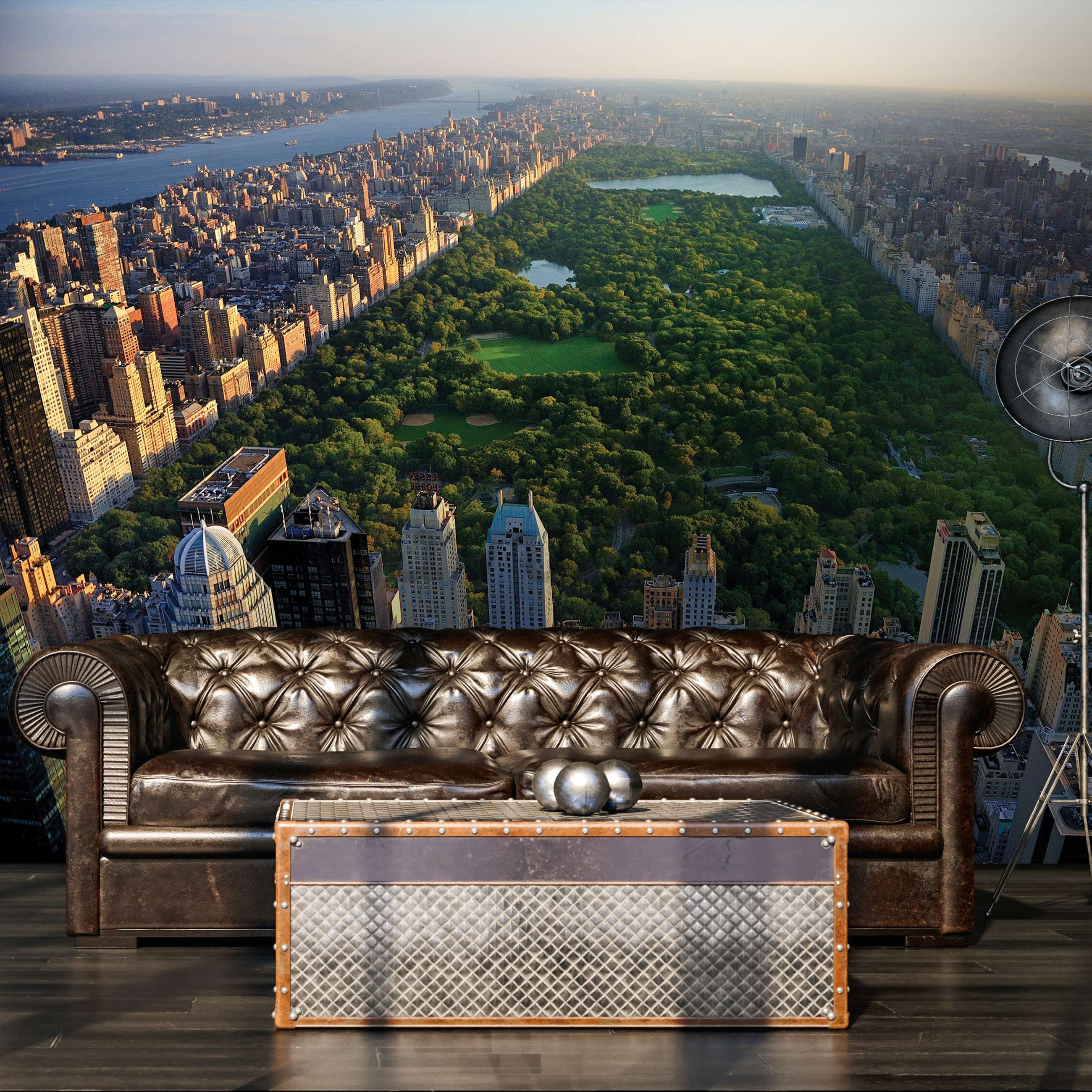 Vlies foto tapeta: New York Central Park - 152,5x104 cm