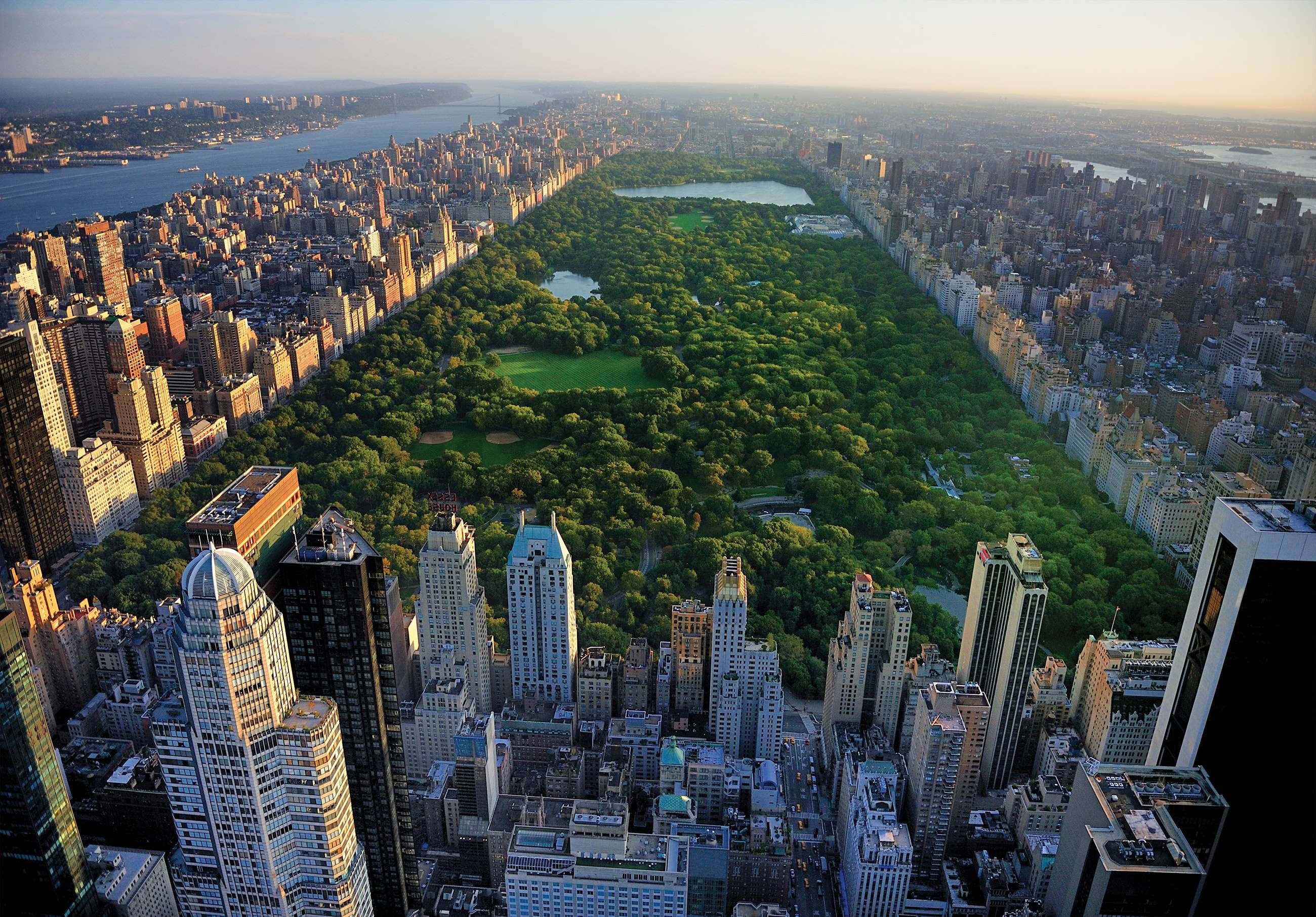 Vlies foto tapeta: New York Central Park - 104x70,5cm