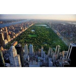 Vlies foto tapeta: New York Central Park - 104x70,5cm