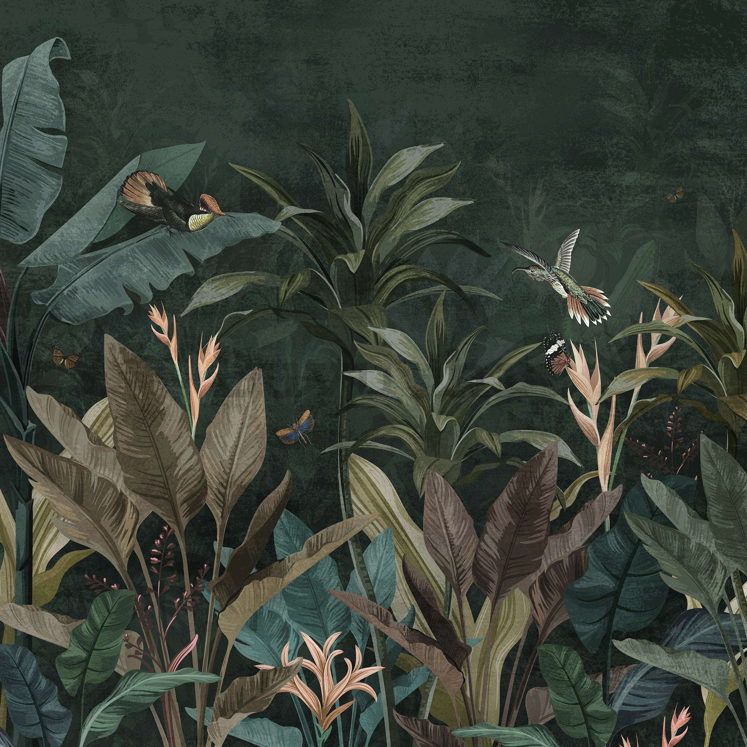 Vlies foto tapeta: Životinje iz džungle (ptice i leptiri) - 416x254 cm