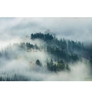 Foto tapeta Vlies: Magla nad šumom (4) - 254x184 cm