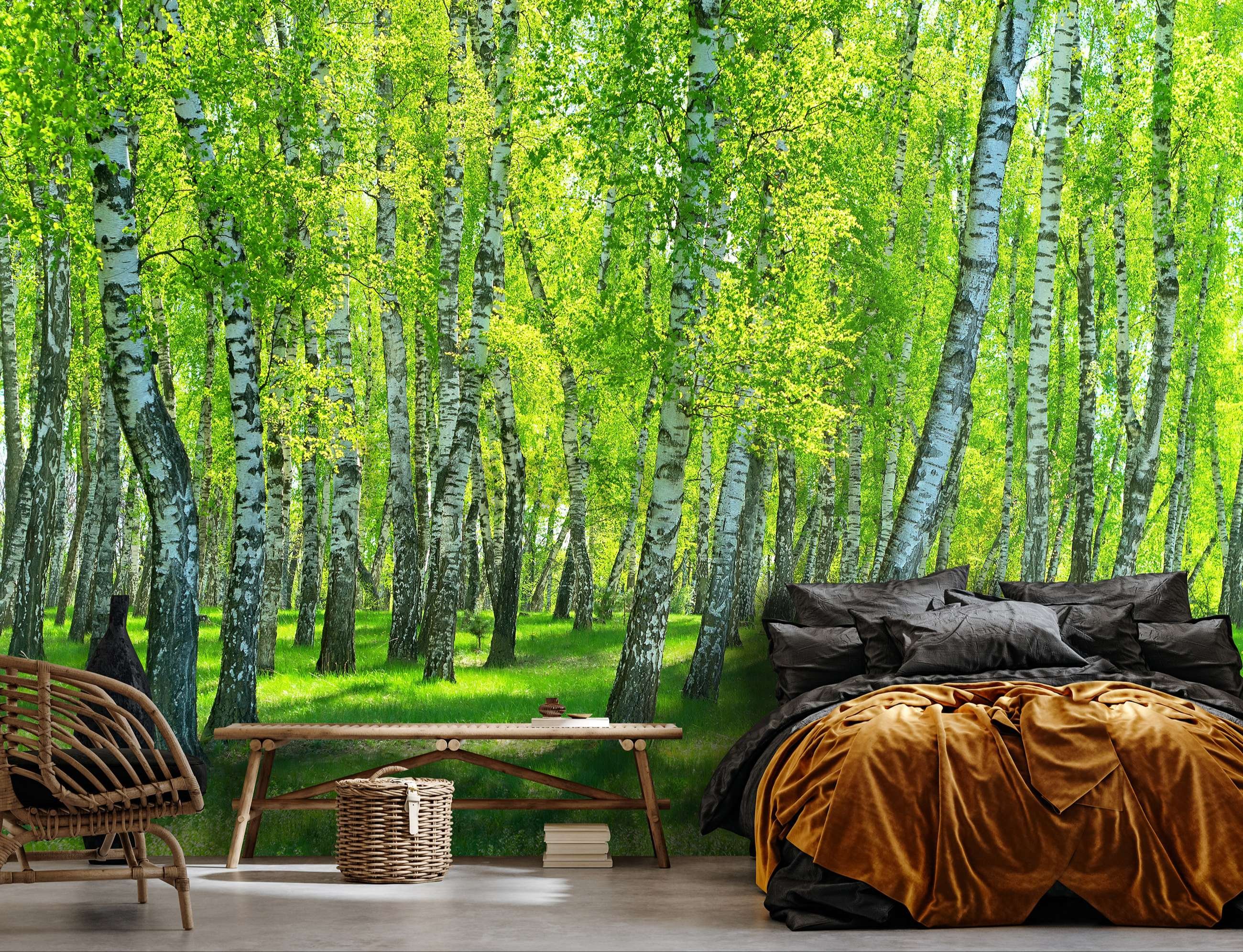 Foto tapeta Vlies: Šuma breze - 254x184 cm