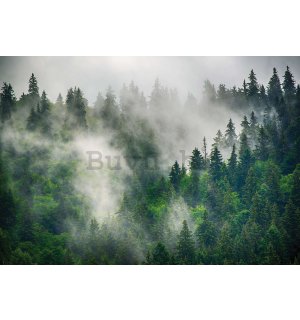 Foto tapeta Vlies: Magla nad šumom (5) - 254x184 cm